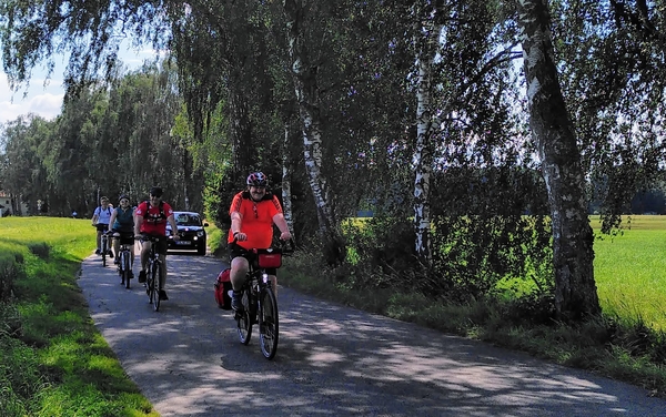 Teilnehmer auf dem Weg zwischen Ottenhofen und Unterschwillach